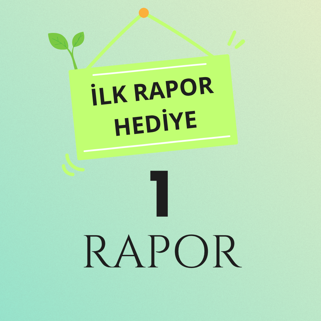 1 Rapor
