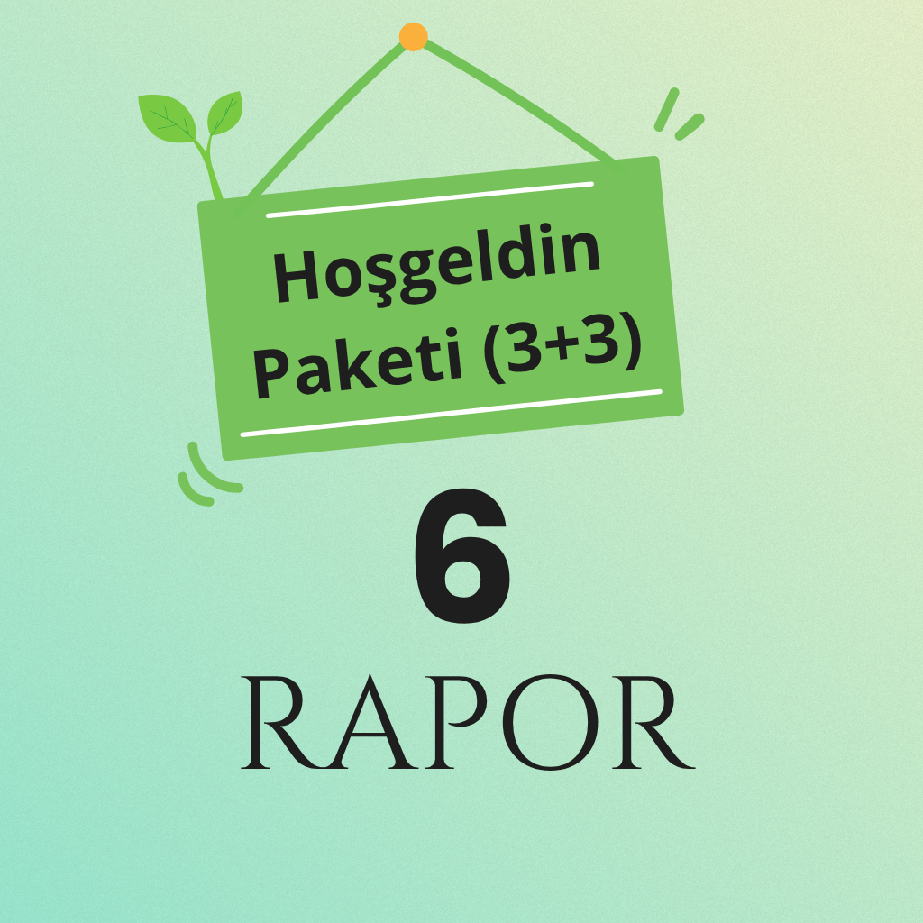 6 Rapor